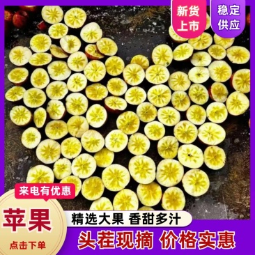 云南昭通冰糖心丑苹果，对接精品高中低档，市场，代办
