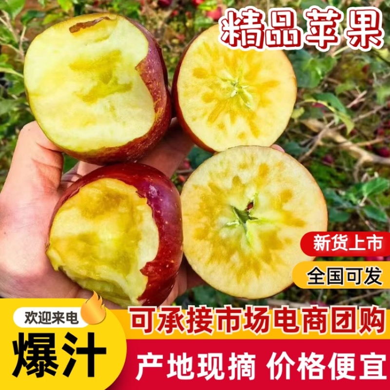云南昭通冰糖心丑苹果，代收全国高中低档市场，电商，渠道等