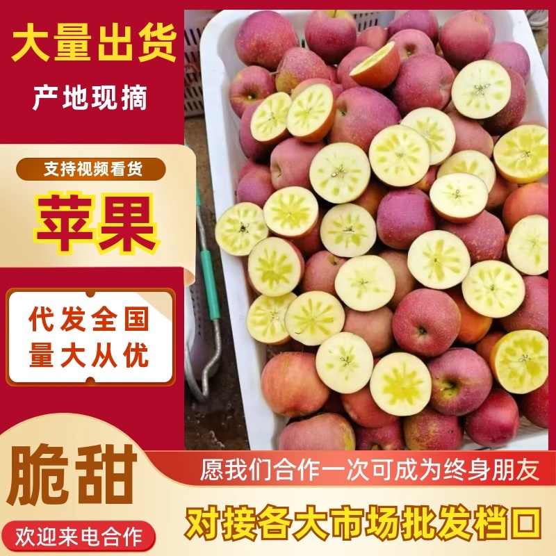 云南昭通冰糖心丑苹果，代收全国高中低档市场，电商，渠道等
