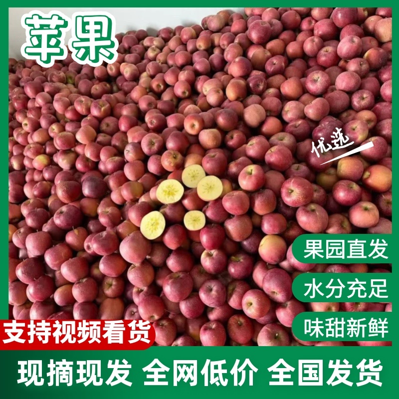 昭通红富士苹果，对接市场，商超。全国发货，质量保证。代办