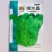 绿水晶耐抽苔生菜种子半直立半包心脆甜味美生菜种子适应性强