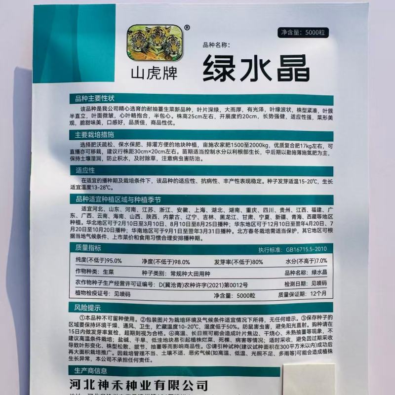 绿水晶耐抽苔生菜种子半直立半包心脆甜味美生菜种子适应性强