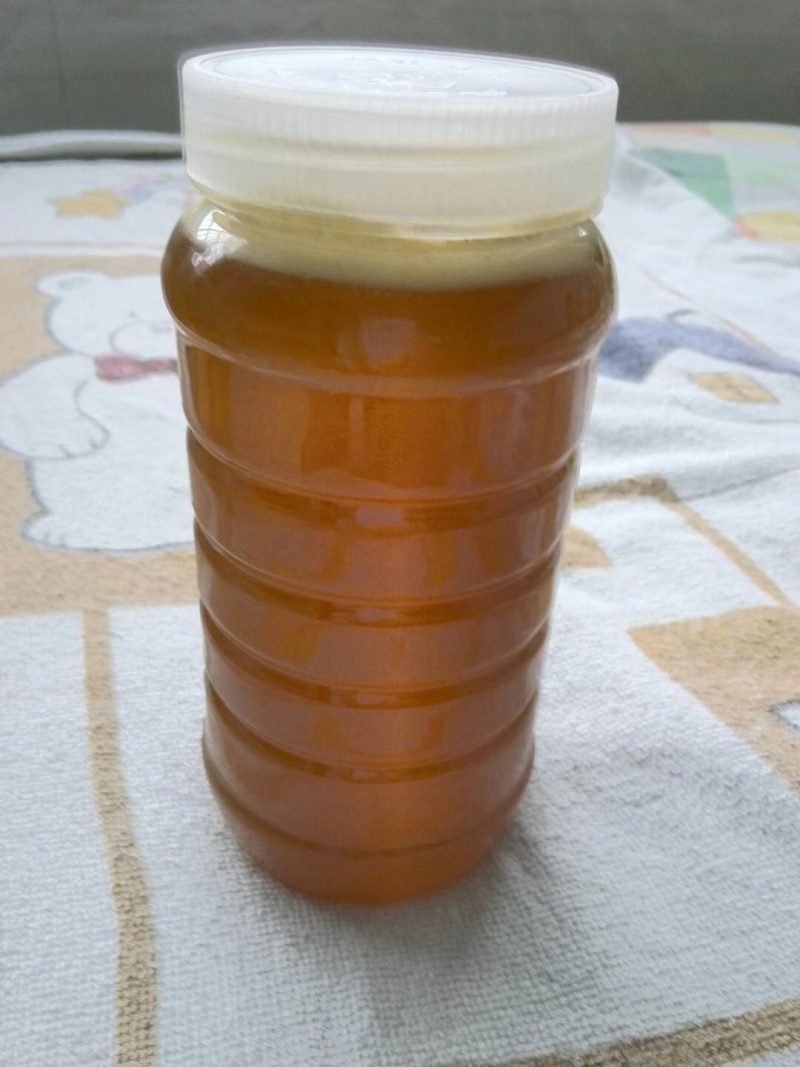 原始森林野生蜂蜜深山养殖药蜜