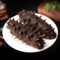 即食海参，源头捕捞加工厂批发供应，量大从优欢迎来电咨询