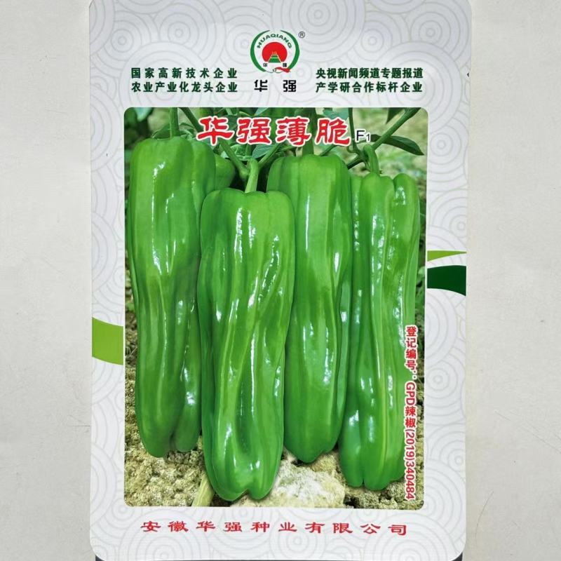 华强薄脆辣椒种子大果早熟薄皮辣椒种子大果型薄皮泡椒种子