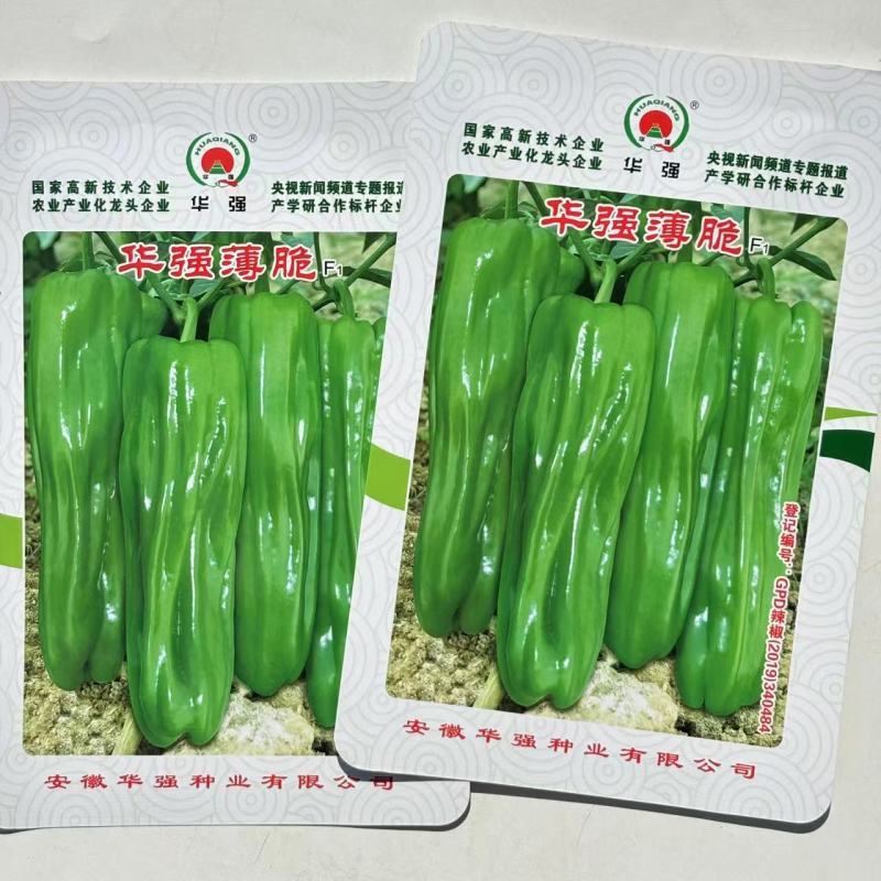 华强薄脆辣椒种子大果早熟薄皮辣椒种子大果型薄皮泡椒种子