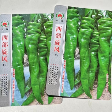 西部旋风螺丝椒种子中早熟果色翠绿色果形曲美长羊角形皮薄质