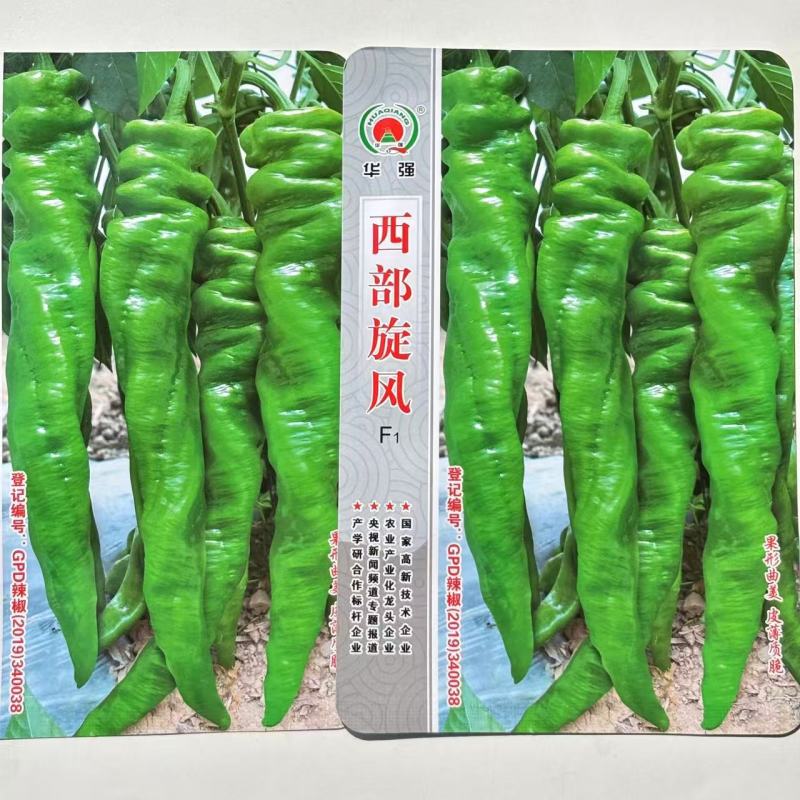西部旋风螺丝椒种子中早熟果色翠绿色果形曲美长羊角形皮薄质