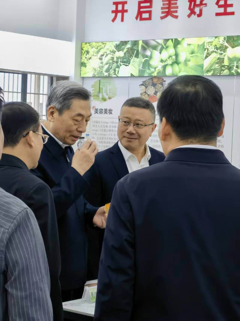 藤茶【星油时代】210克*30袋/常年供应/散装礼盒装