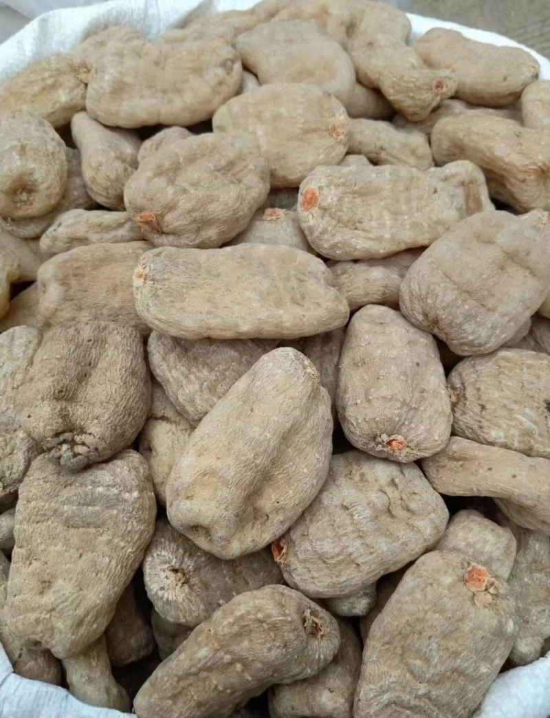 云南中药根茎类/昭通天麻/量大价优/可视频看货/包邮