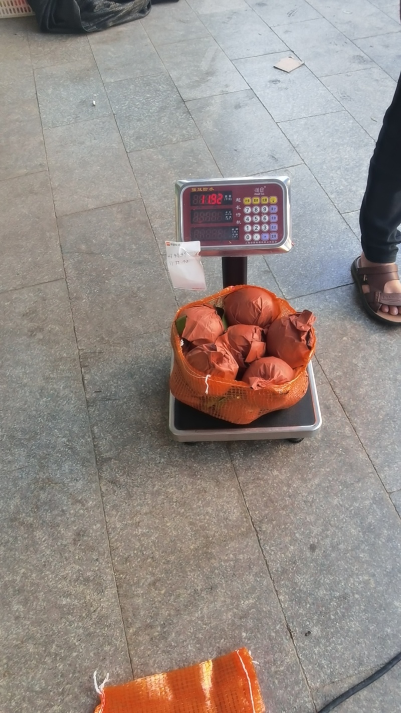 福建平和.葡萄柚.爆汁葡萄柚产地直发一手货源