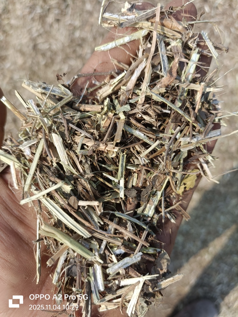 花生秧中小草大量供应欢迎新老顾客进店选购