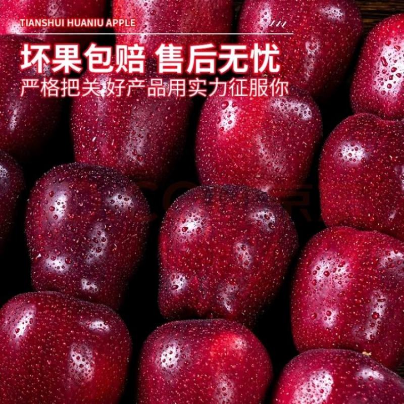 甘肃天水市麦积区花牛苹果现货速发