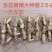 块茎苗