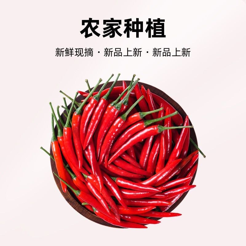 精品小米红尖椒一手货源货源充足品质有保障电商超市市场**