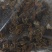 炒刺猬皮货好量大一公斤起售野货不满意可以退换货