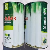 金品88大葱种子钢杆大葱种子葱白粗壮春秋长白大葱种籽