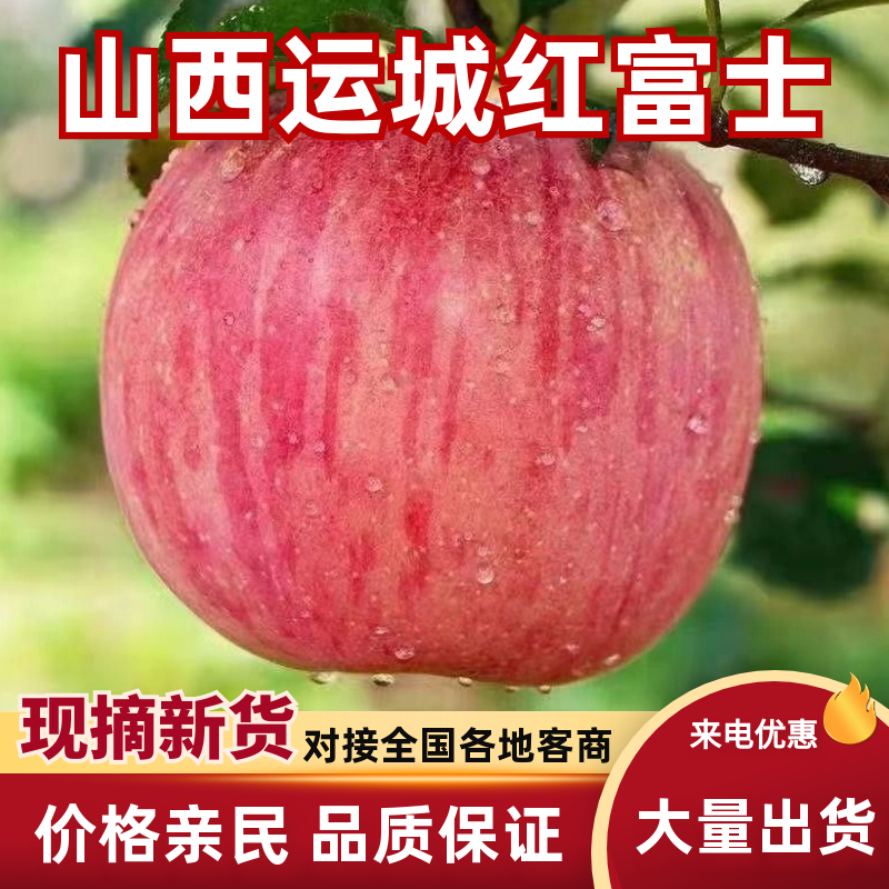 山西冰糖心苹果大量上市，支持视频看货承接电商