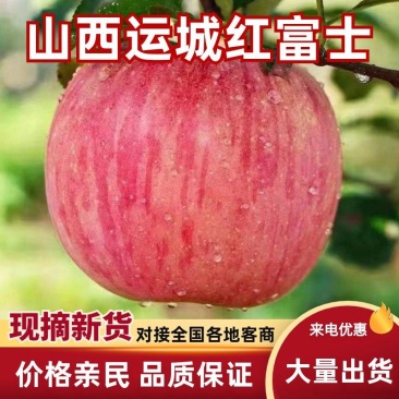 山西冰糖心苹果大量上市,支持视频看货承接电商