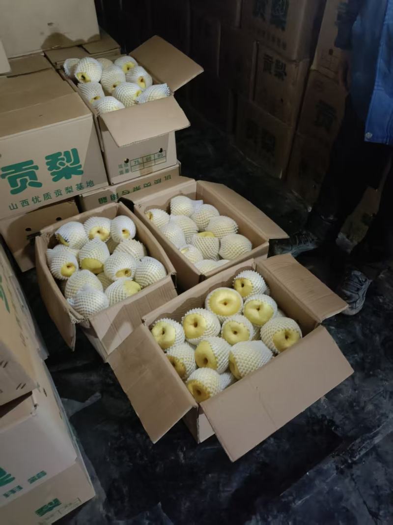 晋中市平遥区酥梨大量上市了口感脆甜果面干净不掉渣