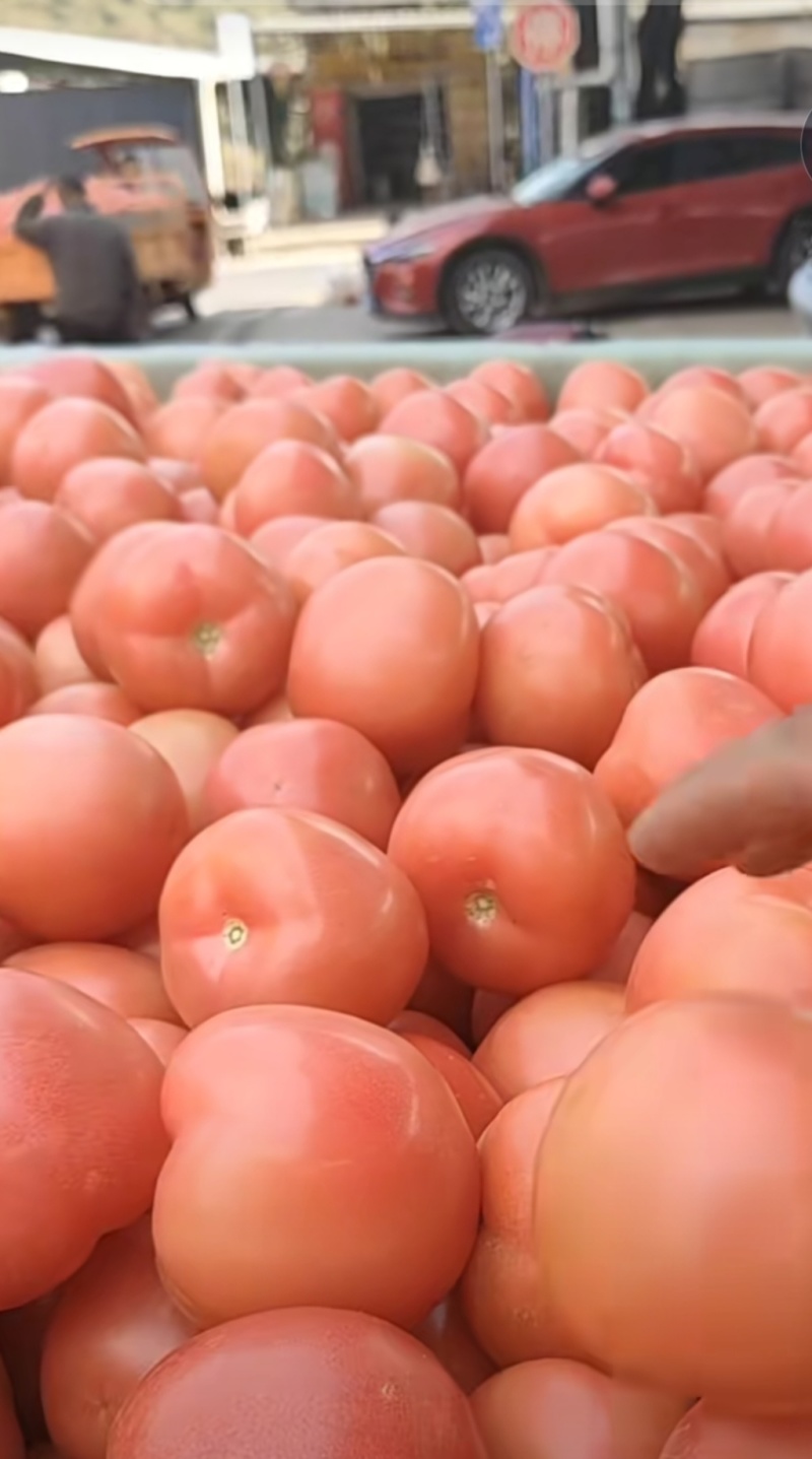 精品大棚