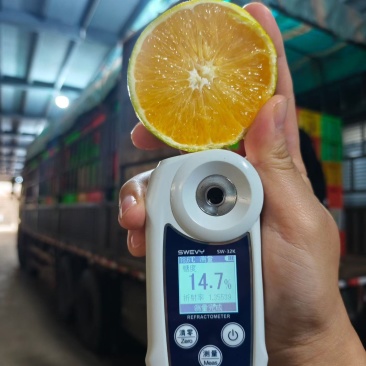 云南高糖冰糖橙一件代发带箱5斤