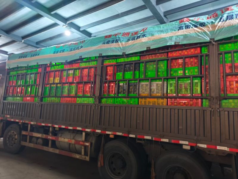云南高糖冰糖橙一件代发带箱5斤
