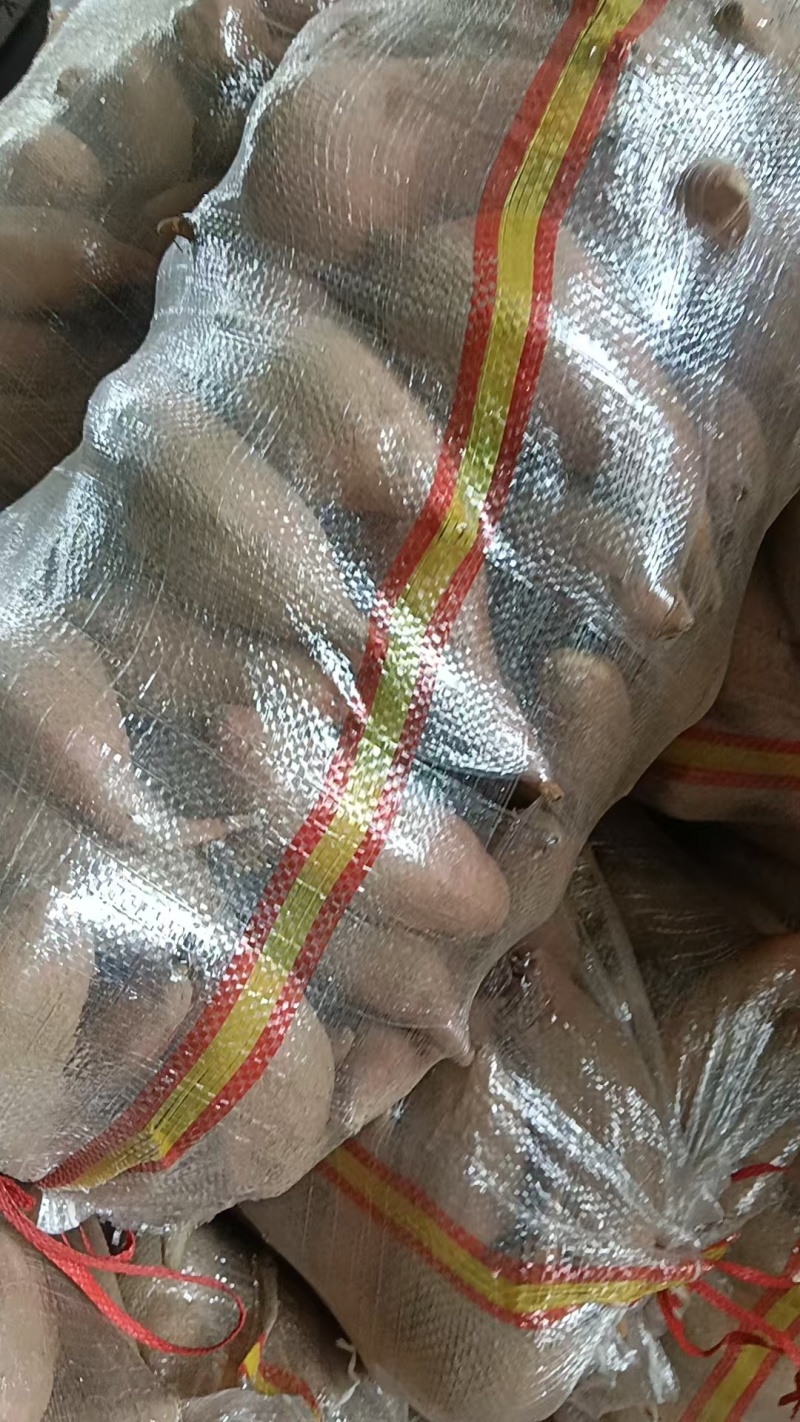 【推荐】开封龙薯9号现质量保证大量对接电商商超
