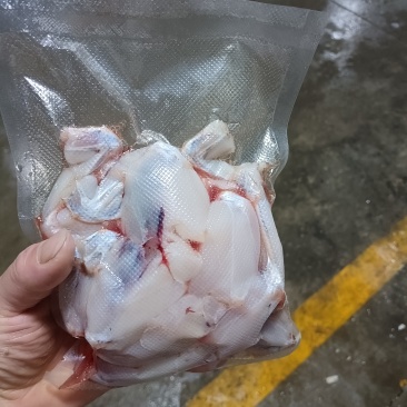 牛蛙肉整只剁块都有