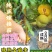 四川晚熟金脆李树苗9月中下旬成熟的李子晚熟品种