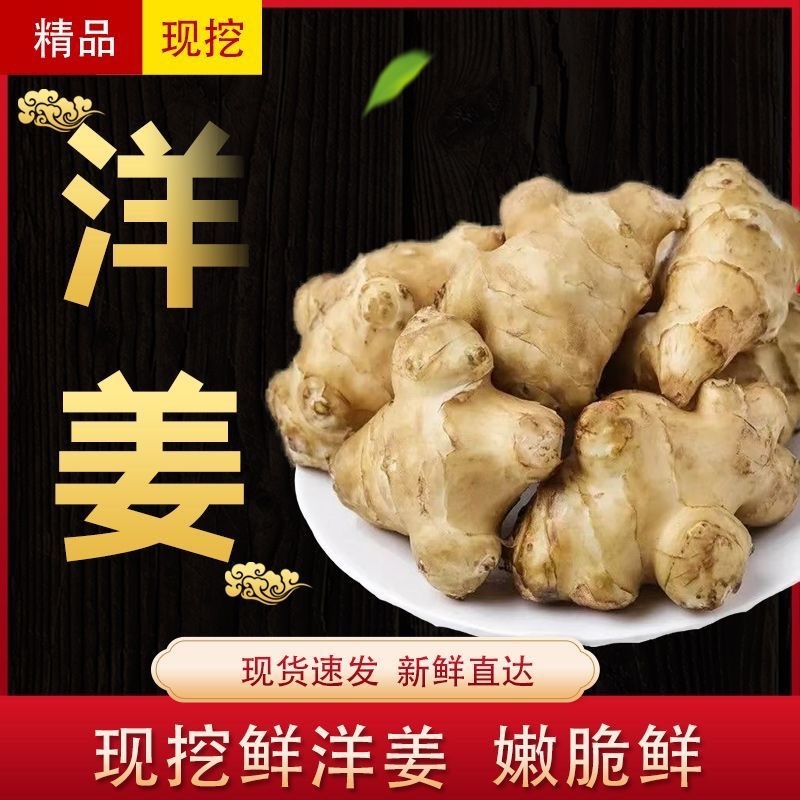 洋姜鬼子姜胰岛果