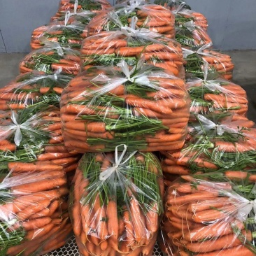 【推荐】精品胡萝卜，胡萝卜产地直发，质量保证质量三包
