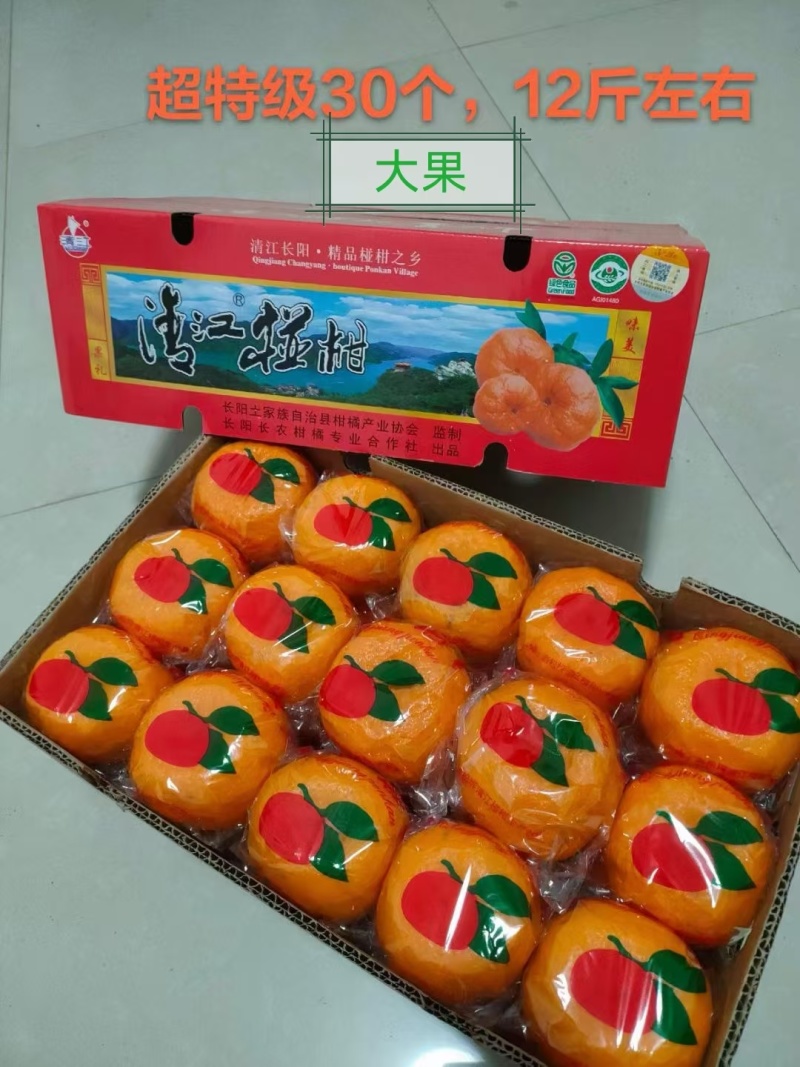 原产地清江椪柑直发一手货源量大价优一件代发