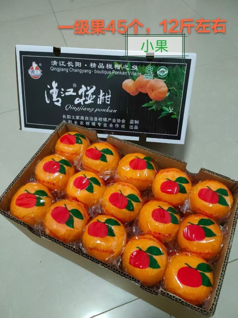 原产地清江椪柑直发一手货源量大价优一件代发
