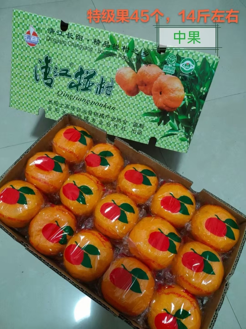 原产地清江椪柑直发一手货源量大价优一件代发