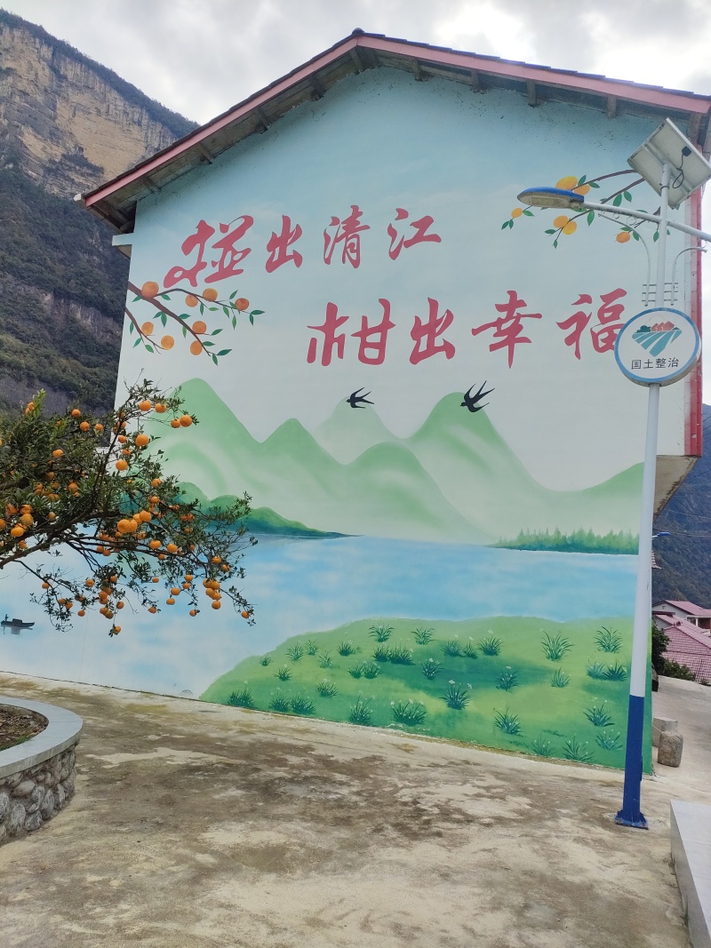 原产地清江椪柑直发一手货源量大价优一件代发