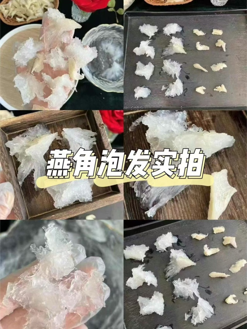 企标溯源码燕角批发燕窝工厂直销，精品燕窝，欢迎老板选购