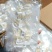 企标溯源码燕角批发燕窝工厂直销，精品燕窝，欢迎老板选购