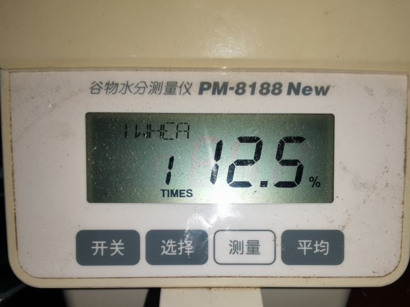 龙麦35容重831水分12.7200吨
