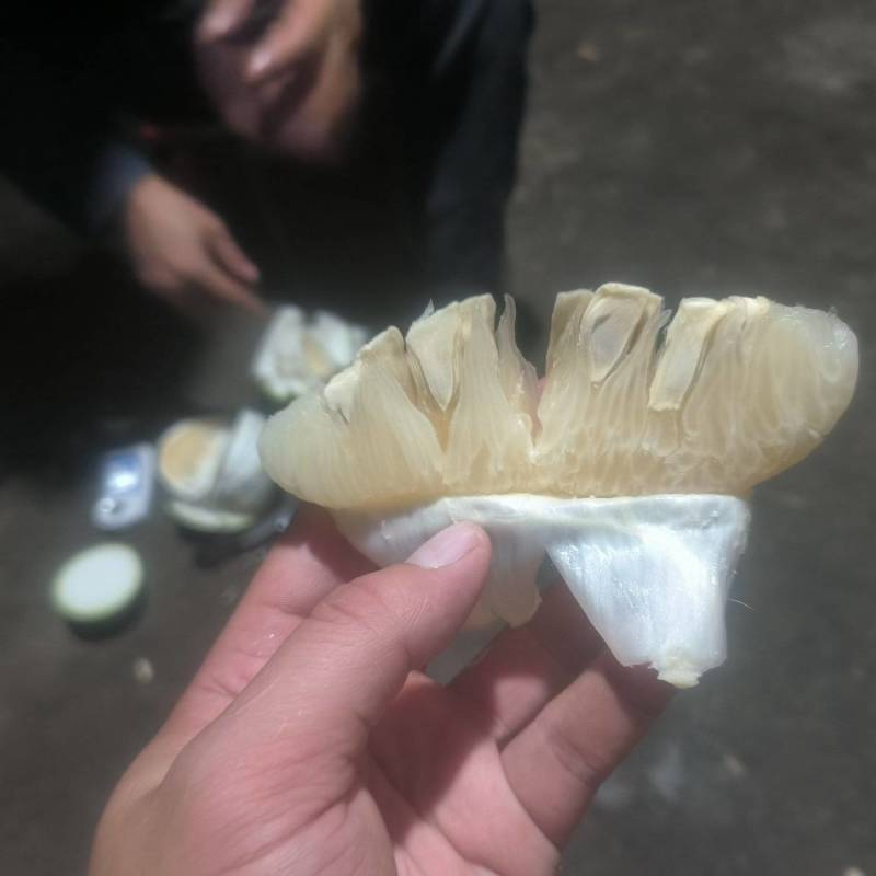13个糖沙田柚包好吃