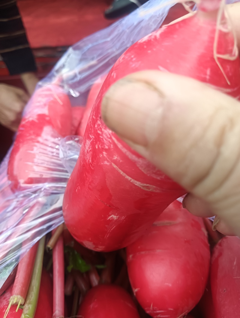 红皮白萝卜皮红肉白易煮易熟生成甜，是秋冬季**的养生产品