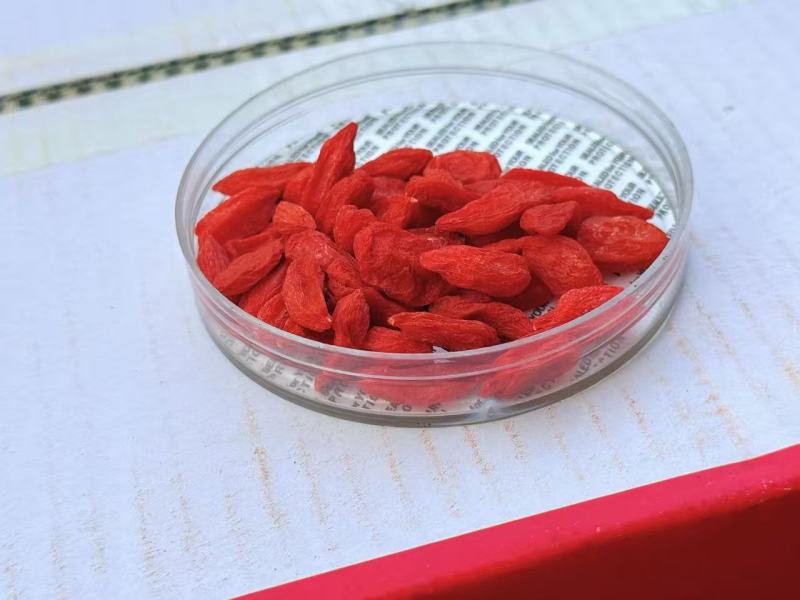 枸杞，冻干枸杞，脆枸杞，无硫磺，实物拍摄，欢迎选购