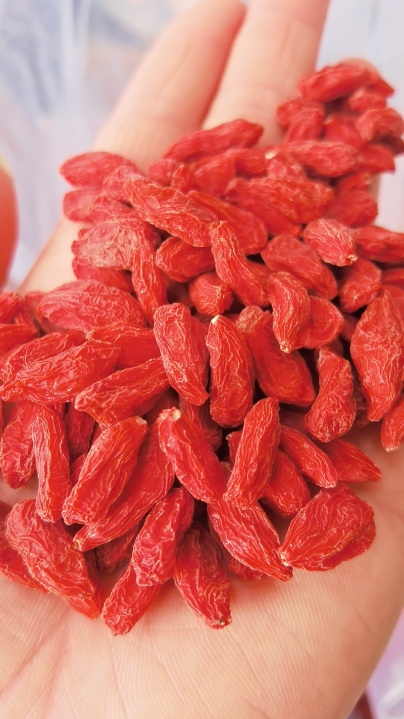 枸杞，冻干枸杞，脆枸杞，无硫磺，实物拍摄，欢迎选购