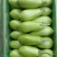 随州精品青茄大量供应，一手货源，品质保证欢迎随时联系
