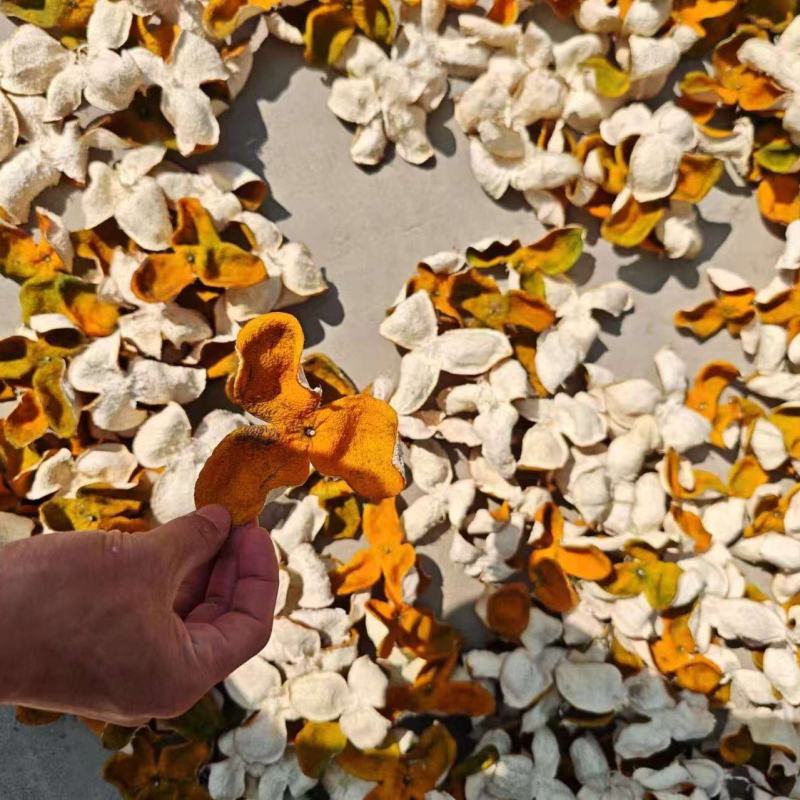 可代加工陈皮陈皮柑保质保量新树果