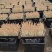 花生芽对接各大市场商超电商加工厂品质保证可视频看货