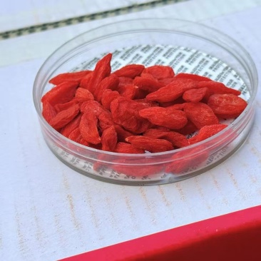 枸杞，冻干枸杞，脆枸杞，无硫磺，实物拍摄，欢迎选购