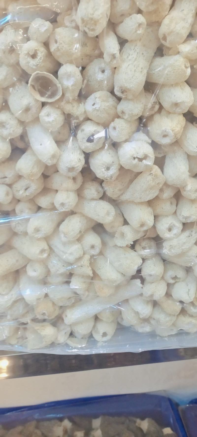 宁夏菌业大量批发竹荪