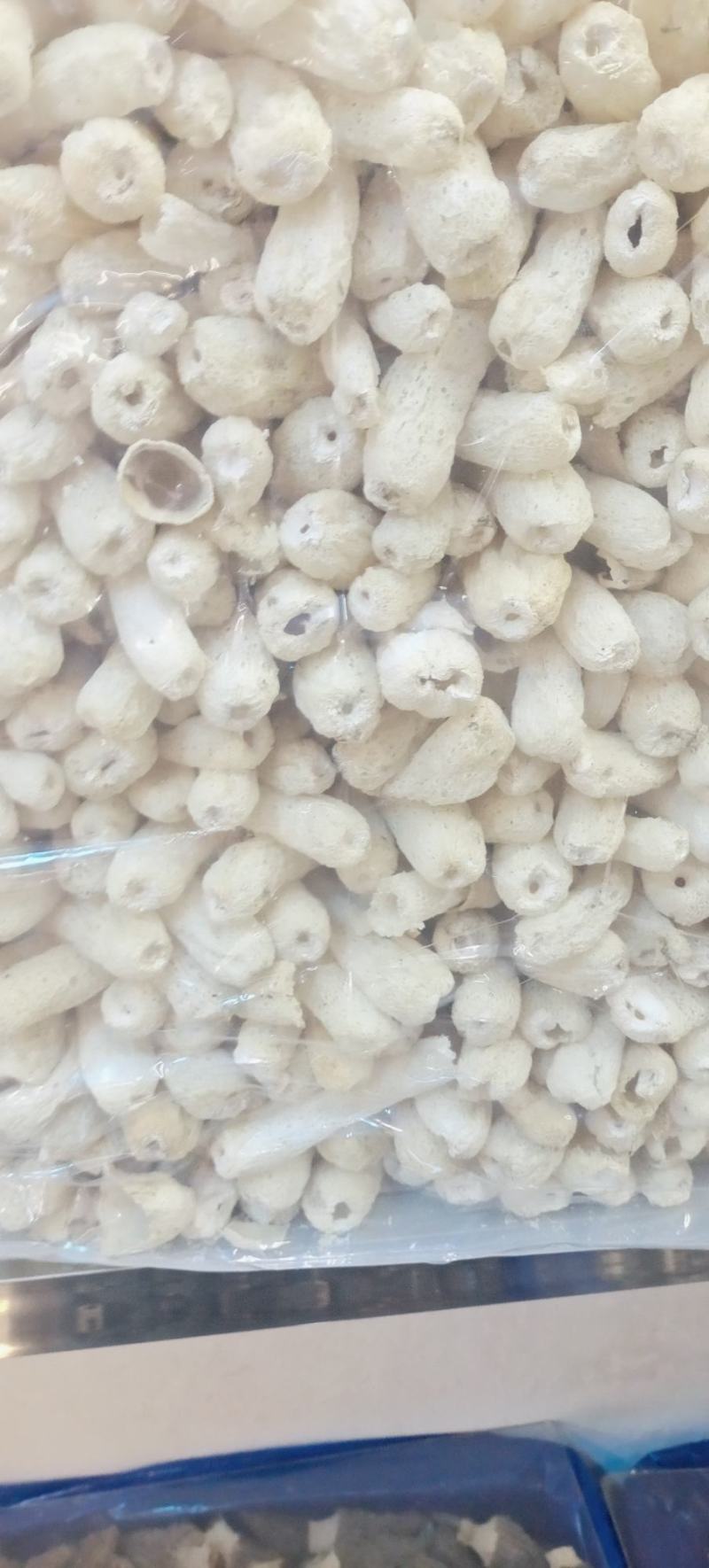 宁夏菌业大量批发竹荪