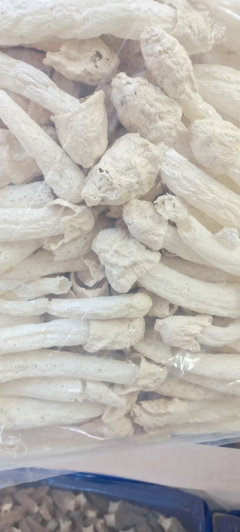 宁夏菌业大量批发竹荪